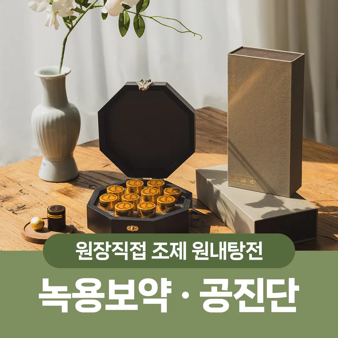 녹용보약 · 공진단