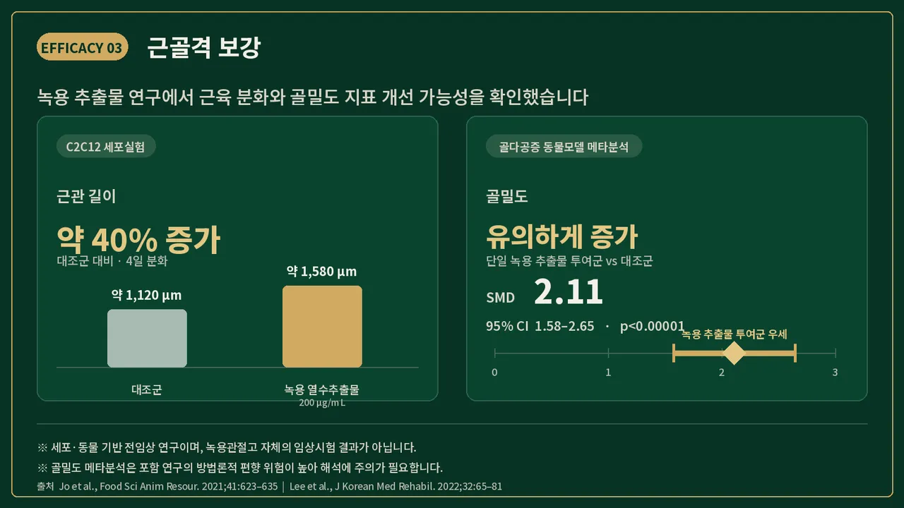 녹용관절고_효능3_근골격보강.png