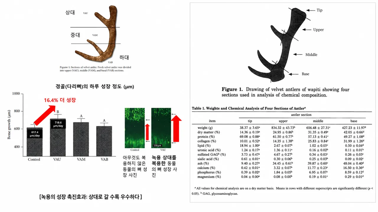 새솔동 성장한의원.png