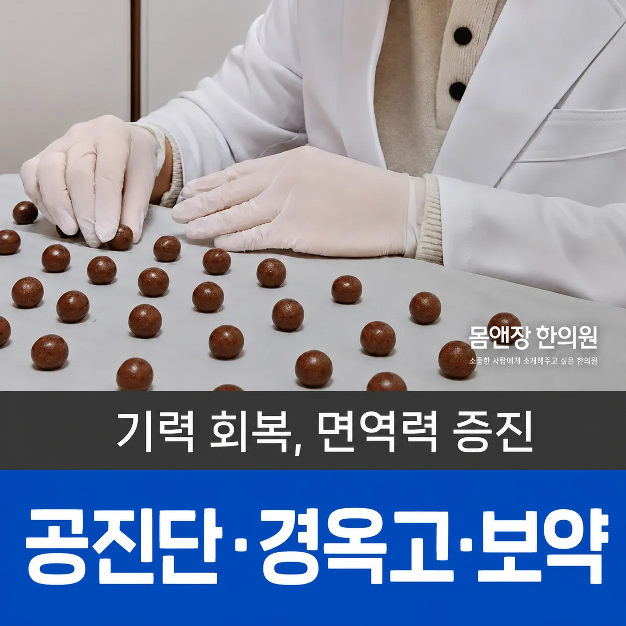 새솔동 공진단.png
