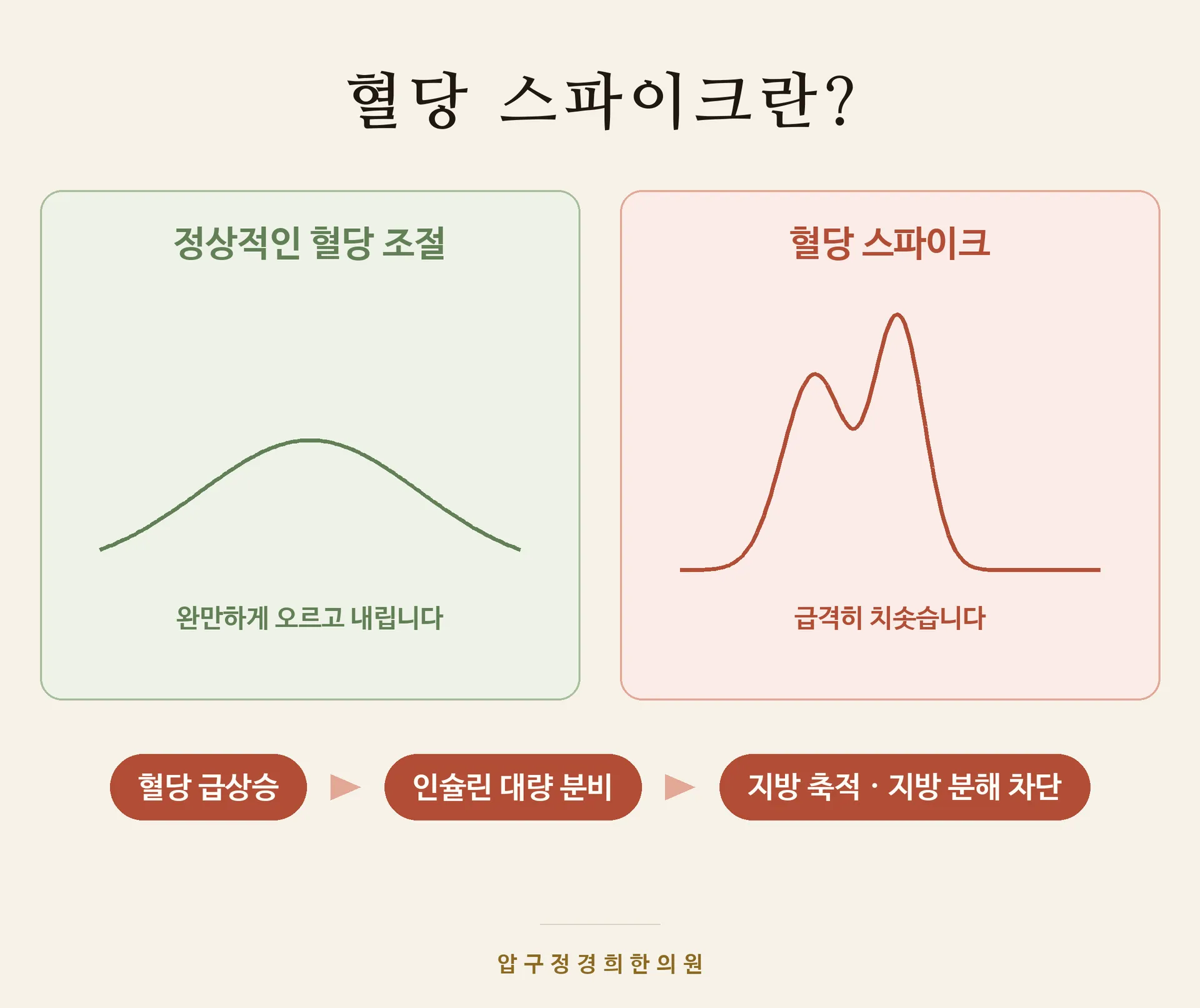 혈당_이미지1_스파이크란_v1.png