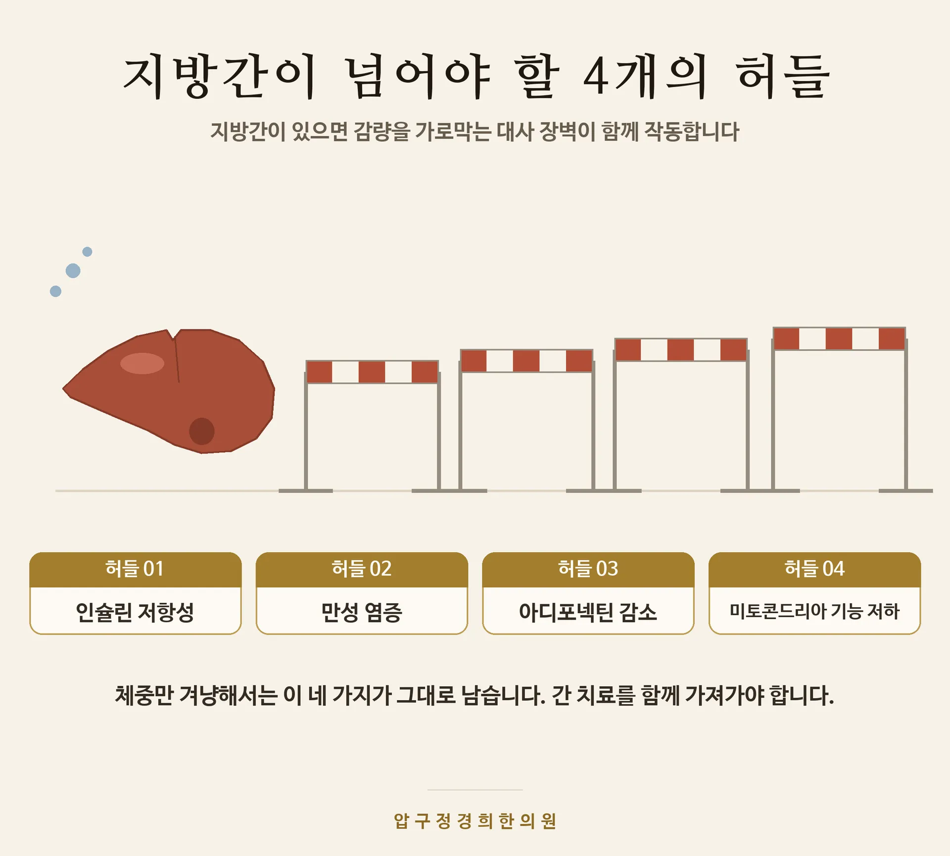 지방간_허들_이미지_v2.png