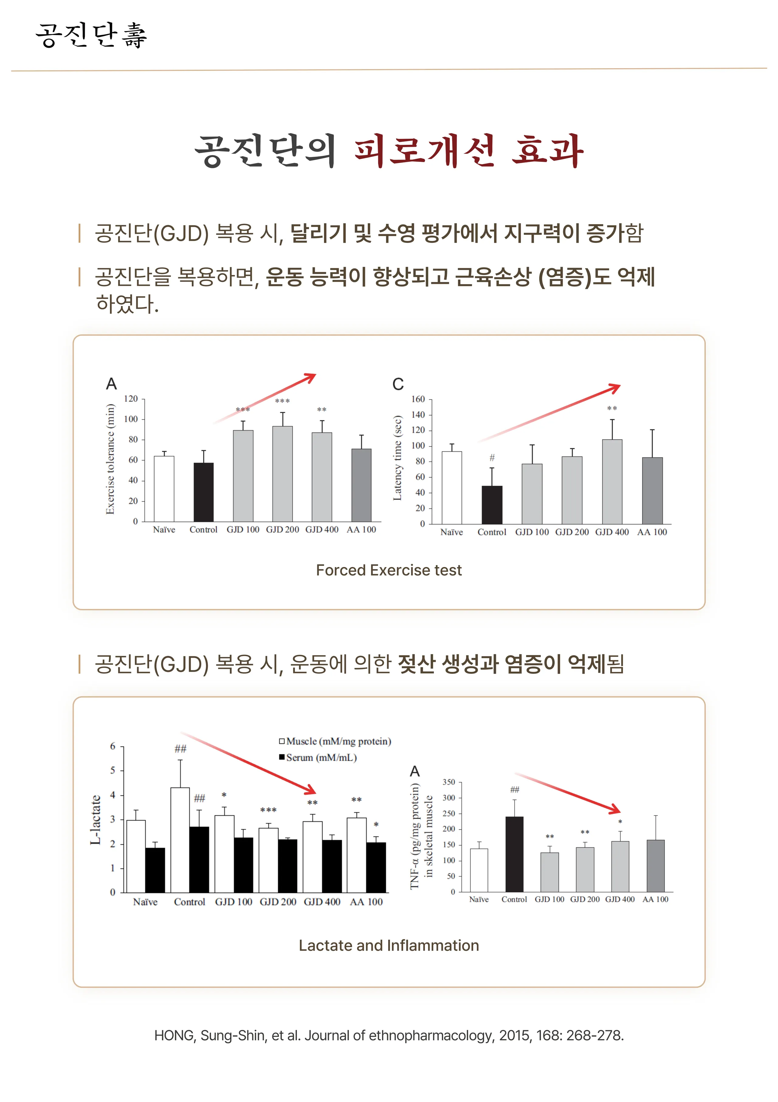 3-3 공진단_3.jpg