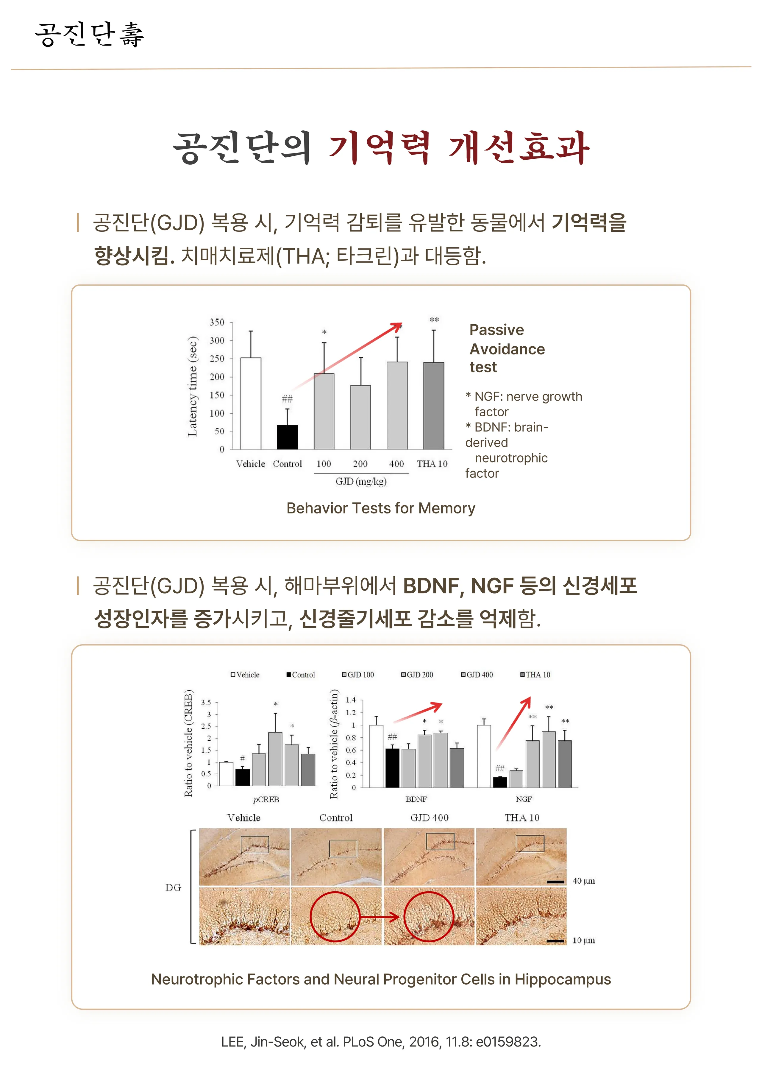 3-5 공진단_5.jpg
