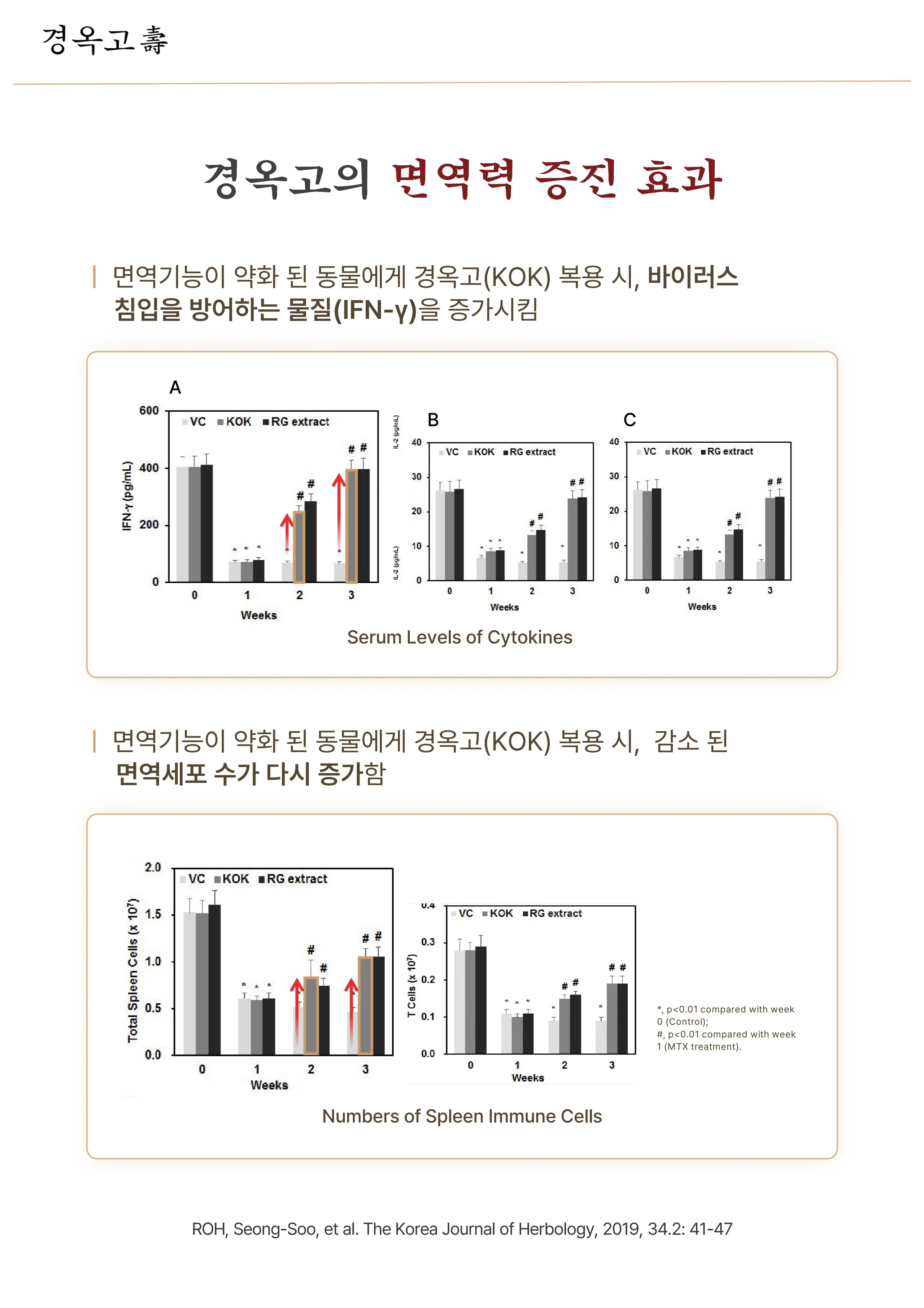 4-3 경옥고_3.jpg