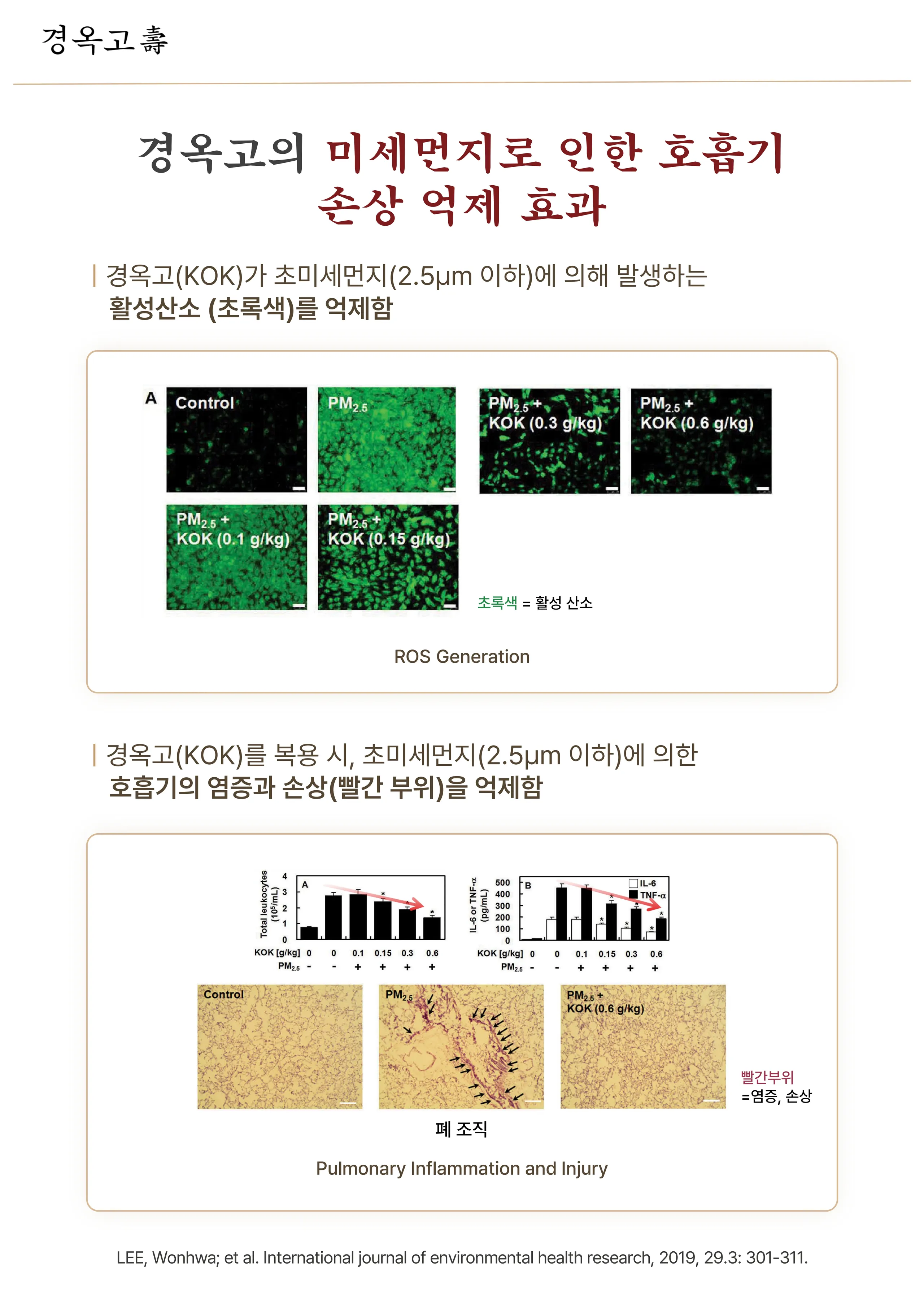 4-4 경옥고_4.jpg