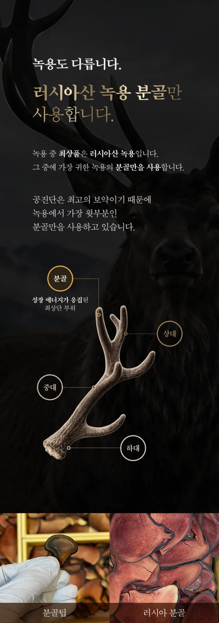 6.webp