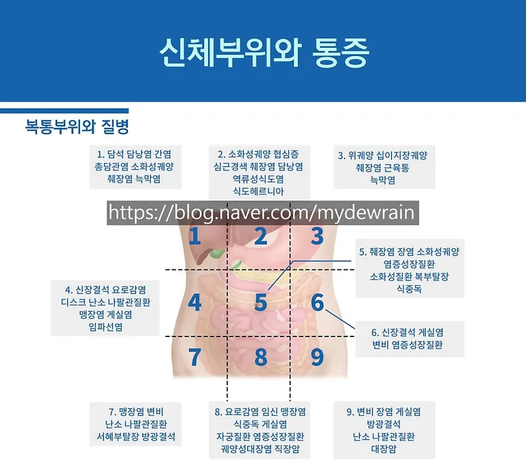 Pasted image