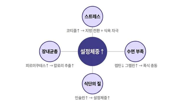 Pasted image